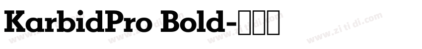 KarbidPro Bold字体转换